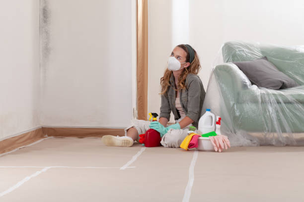 Reliable Mold Remediation contractor in Groveton, VA by 24 Hour Mold Removal